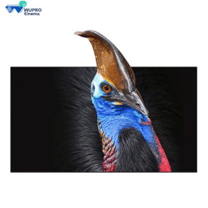 WUPRO Fresnal ALR Screen For UST Projector